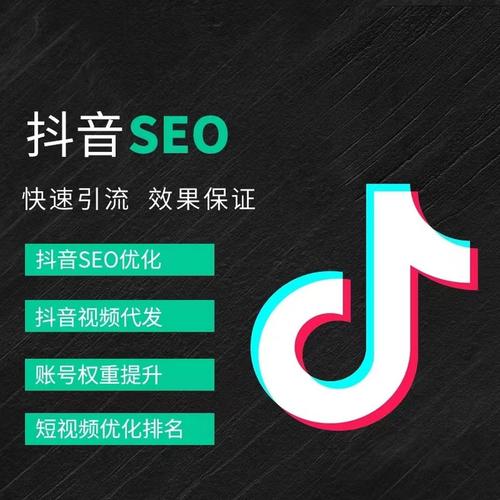 高新路抖音广告
